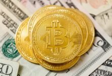 top long term investment picks