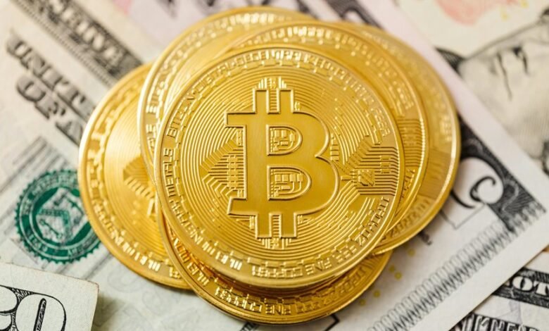 top long term investment picks