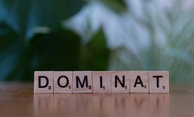 numeric governance control outline