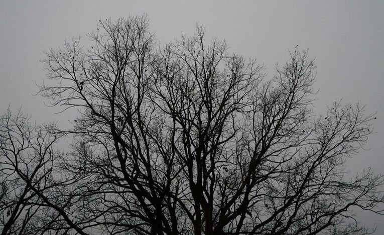 precision identifier validation process