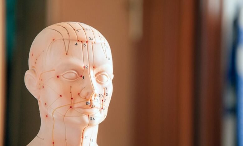 verified numeric reference blueprint